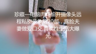 南阳少妇深喉口交2