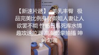 起點傳媒 性視界傳媒 XSJTC09 淫欲夢中情人 娃娃