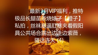 STP29687 性视界 XSJ-134《八艳淫新》刺客拦路玩屌自焚-坏坏 VIP0600