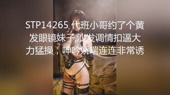 赵总探花系列-迷人的美少妇