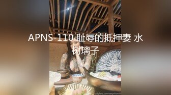 APNS-110 耻辱的抵押妻 水树璃子