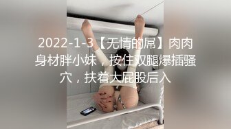 2022-1-3【无情的屌】肉肉身材胖小妹，按住双腿爆插骚穴，扶着大屁股后入