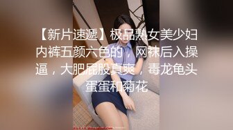 【母狗少婦】調教多年的口交技術，少婦才是寶！女上位瘋狂扭動