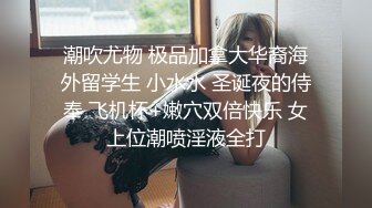 小凤新婚下集MDSR-0006-2高冷新妻性奴调教