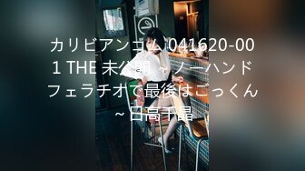 カリビアンコム 041620-001 THE 未公開 ～ノーハンドフェラチオで最後はごっくん～日高千晶