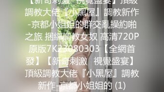 国产CD系列伪娘Luminia女仆网袜自插18cm假JJ高潮射精