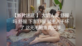 有着完美乳房的小母狗