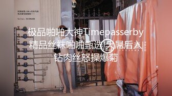 极品啪啪大神Timepasserby精品丝袜啪啪甄选 大屌后入钻肉丝怒操爆菊