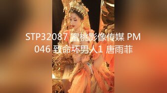 8月最新流出私房大神隔墙有眼酒店大堂女厕偷拍反差网红学妹遭贴逼拍肥鲍