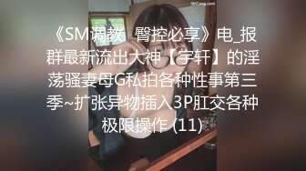 《SM调教✅臀控必享》电_报群最新流出大神【宇轩】的淫荡骚妻母G私拍各种性事第三季~扩张异物插入3P肛交各种极限操作 (11)