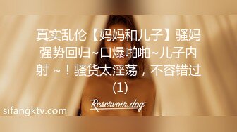 高能预警！比女人还女人极品网红CDTS【sehe】私拍，能攻能守3P4P真男假女混乱性交人体蜈蚣，相当淫乱视觉盛宴 (10)