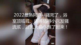 极品反差巨乳模特黑丝吊带扛腿中出