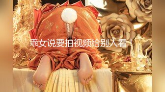 极品资源-欧美精品女优和系列射精片段23小时大合集【86V】 (22)