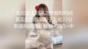 国产麻豆AV MD MD0009 性爱陷阱 叶倩茹