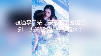 极品资源-欧美精品女优和系列射精片段23小时大合集【86V】 (4)