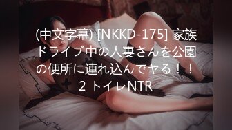 (中文字幕) [NKKD-175] 家族ドライブ中の人妻さんを公園の便所に連れ込んでヤる！！2 トイレNTR