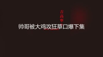 帅哥被大鸡攻狂草口爆下集