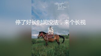 【超推荐❤️会所独家】最新91大神A君SM激情三部曲之虐阴连操 后入骑着虐操蒙眼骚货 淫插内射中出小穴 高清3K原版