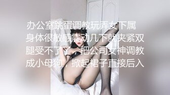 国产麻豆AV MDX MDX0161 商务女大使的魅惑 赵一曼