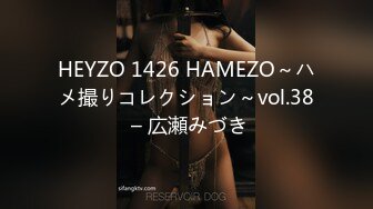 HEYZO 1426 HAMEZO～ハメ撮りコレクション～vol.38 – 広瀬みづき