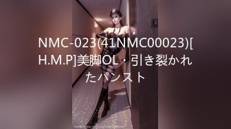 NMC-023(41NMC00023)[H.M.P]美脚OL・引き裂かれたパンスト