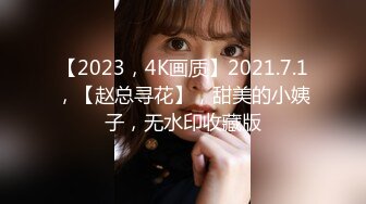 【2023，4K画质】2021.7.1，【赵总寻花】，甜美的小姨子，无水印收藏版