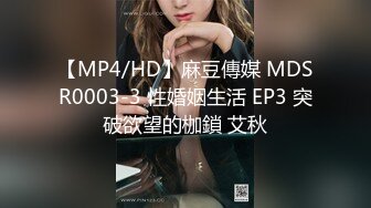 【MP4/HD】麻豆傳媒 MDSR0003-3 性婚姻生活 EP3 突破欲望的枷鎖 艾秋