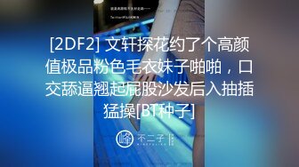 [2DF2] 文轩探花约了个高颜值极品粉色毛衣妹子啪啪，口交舔逼翘起屁股沙发后入抽插猛操[BT种子]