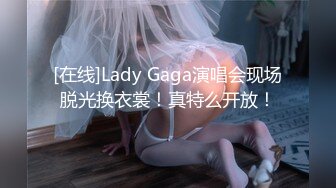 [在线]Lady Gaga演唱会现场脱光换衣裳！真特么开放！