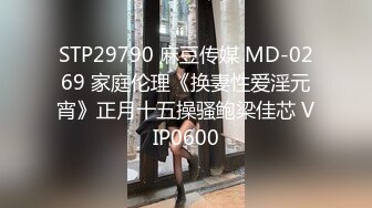 STP29790 麻豆传媒 MD-0269 家庭伦理《换妻性爱淫元宵》正月十五操骚鲍梁佳芯 VIP0600