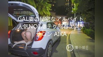 GAL妻の秘密なアルバイト 人気NO1凄テク回春エステサロン AIKA